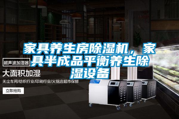 家具養(yǎng)生房除濕機，家具半成品平衡養(yǎng)生除濕設(shè)備