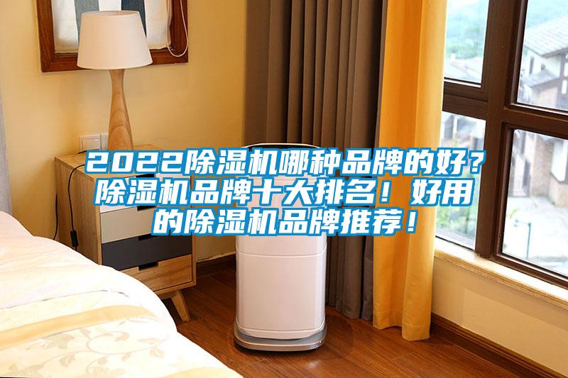 2022除濕機(jī)哪種品牌的好？除濕機(jī)品牌十大排名！好用的除濕機(jī)品牌推薦！