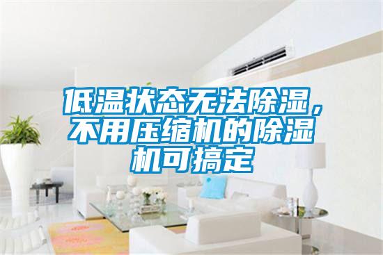 低溫狀態(tài)無法除濕，不用壓縮機的除濕機可搞定