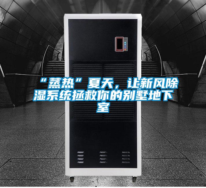 “蒸熱”夏天，讓新風(fēng)除濕系統(tǒng)拯救你的別墅地下室