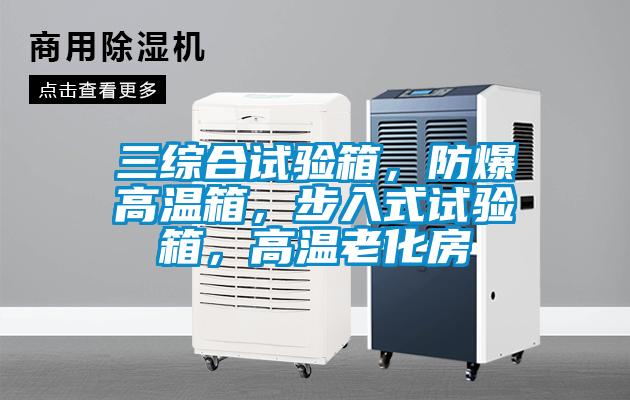 三綜合試驗箱，防爆高溫箱，步入式試驗箱，高溫老化房