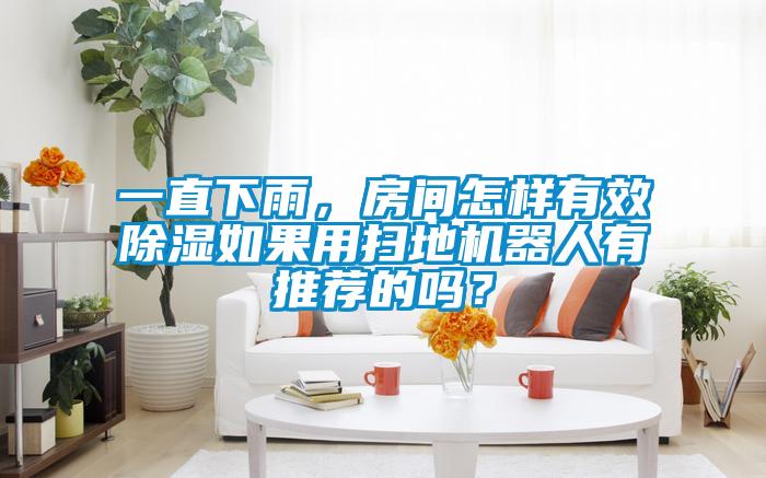 一直下雨，房間怎樣有效除濕如果用掃地機器人有推薦的嗎？