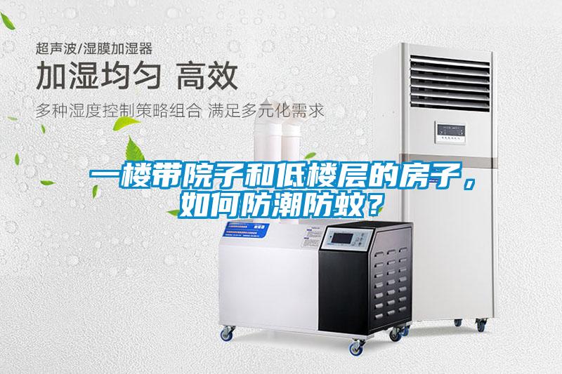 一樓帶院子和低樓層的房子，如何防潮防蚊？