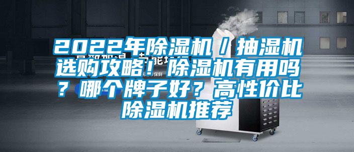 2022年除濕機／抽濕機選購攻略！除濕機有用嗎？哪個牌子好？高性價比除濕機推薦