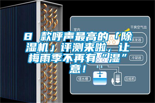 8 款呼聲最高的「除濕機(jī)」評(píng)測來啦，讓梅雨季不再有“濕”意！