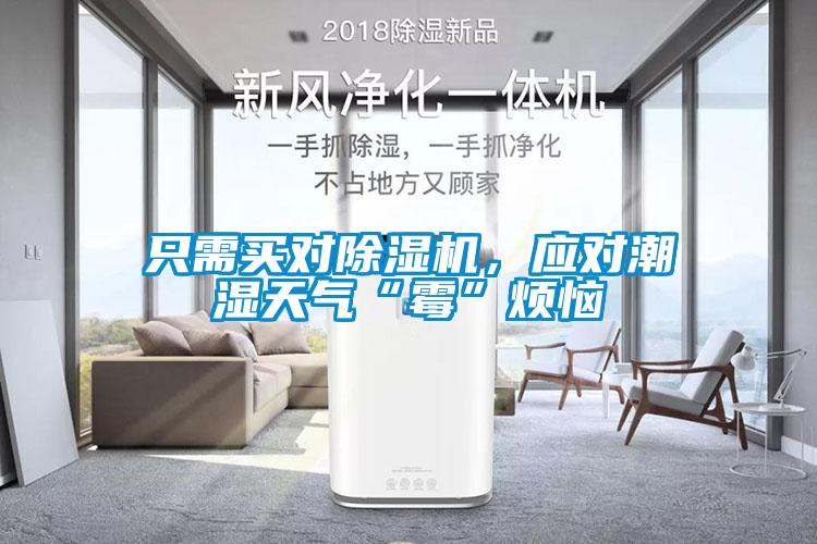 只需買對除濕機(jī)，應(yīng)對潮濕天氣“霉”煩惱