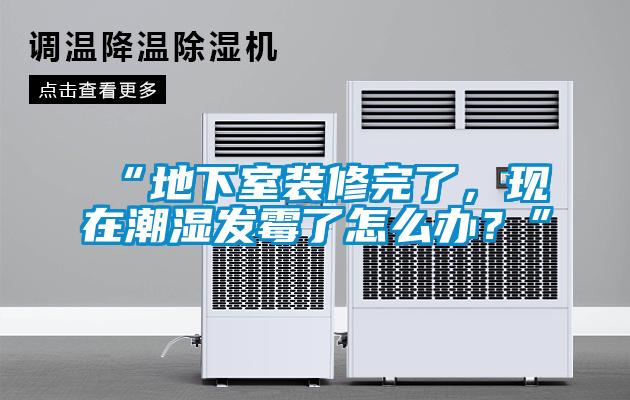 “地下室裝修完了，現(xiàn)在潮濕發(fā)霉了怎么辦？”
