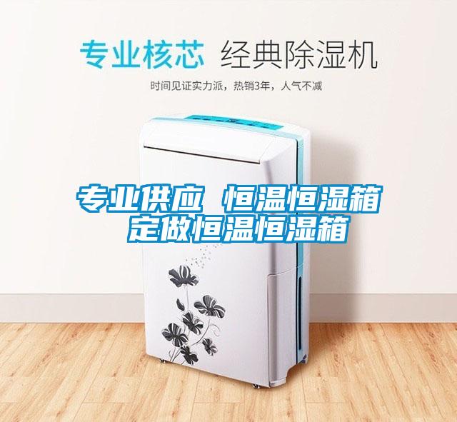 專(zhuān)業(yè)供應(yīng) 恒溫恒濕箱 定做恒溫恒濕箱
