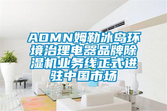 AOMN姆勒冰島環(huán)境治理電器品牌除濕機業(yè)務(wù)線正式進駐中國市場