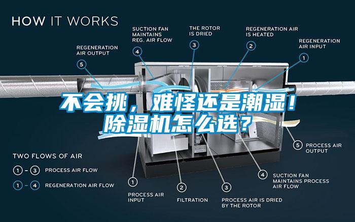 不會挑，難怪還是潮濕！除濕機怎么選？