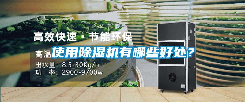 使用除濕機有哪些好處？