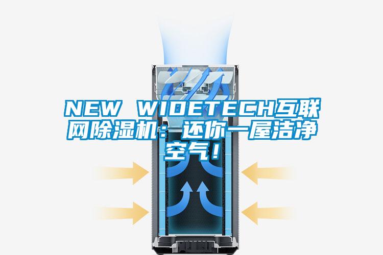NEW WIDETECH互聯(lián)網(wǎng)除濕機：還你一屋潔凈空氣！
