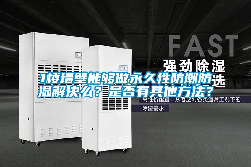 1樓墻壁能夠做永久性防潮防濕解決么？是否有其他方法？