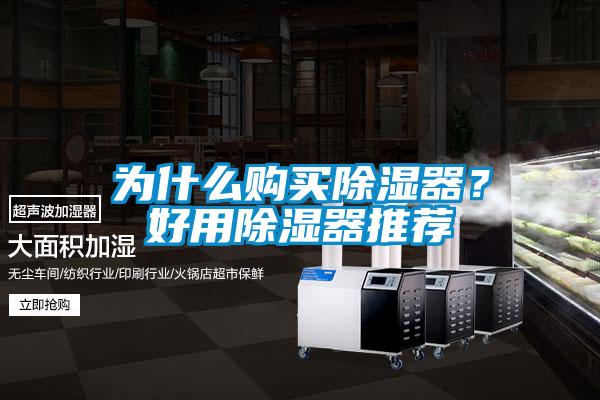 為什么購(gòu)買除濕器？好用除濕器推薦