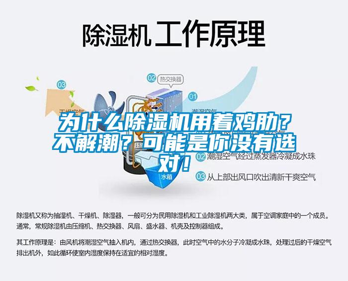 為什么除濕機(jī)用著雞肋？不解潮？可能是你沒有選對(duì)！