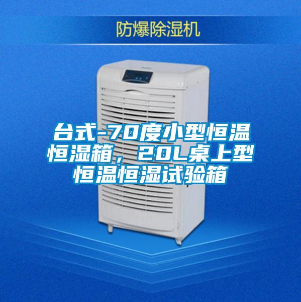 臺式-70度小型恒溫恒濕箱，20L桌上型恒溫恒濕試驗(yàn)箱