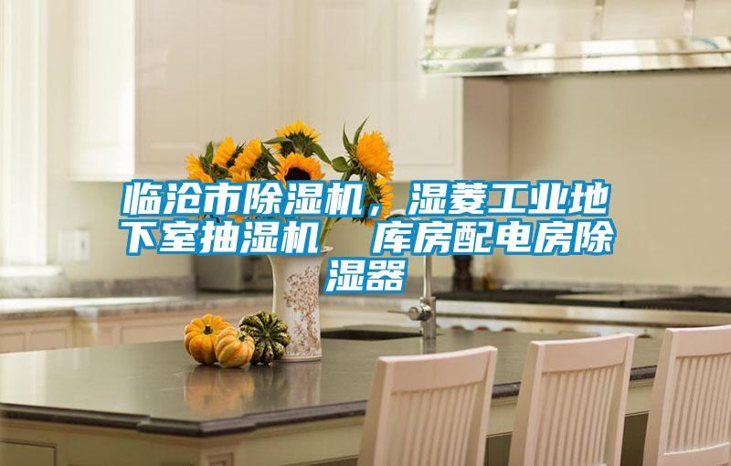 臨滄市除濕機(jī)，濕菱工業(yè)地下室抽濕機(jī)  庫(kù)房配電房除濕器