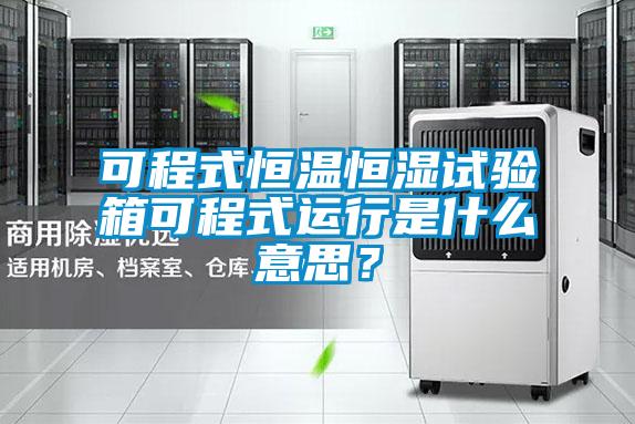 可程式恒溫恒濕試驗箱可程式運行是什么意思？