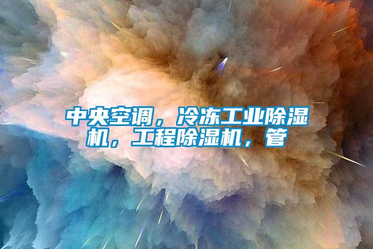 中央空調(diào)，冷凍工業(yè)除濕機(jī)，工程除濕機(jī)，管