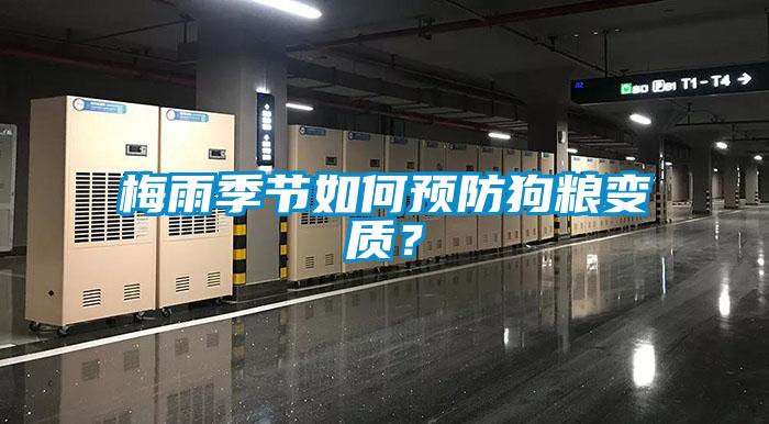 梅雨季節(jié)如何預(yù)防狗糧變質(zhì)？