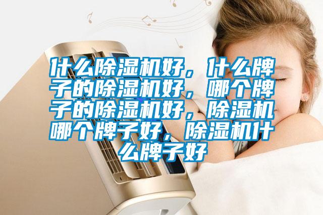什么除濕機(jī)好，什么牌子的除濕機(jī)好，哪個(gè)牌子的除濕機(jī)好，除濕機(jī)哪個(gè)牌子好，除濕機(jī)什么牌子好