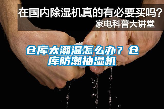 倉庫太潮濕怎么辦？倉庫防潮抽濕機