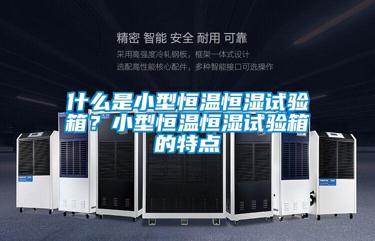 什么是小型恒溫恒濕試驗箱？小型恒溫恒濕試驗箱的特點