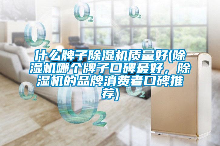 什么牌子除濕機質(zhì)量好(除濕機哪個牌子口碑最好，除濕機的品牌消費者口碑推薦)