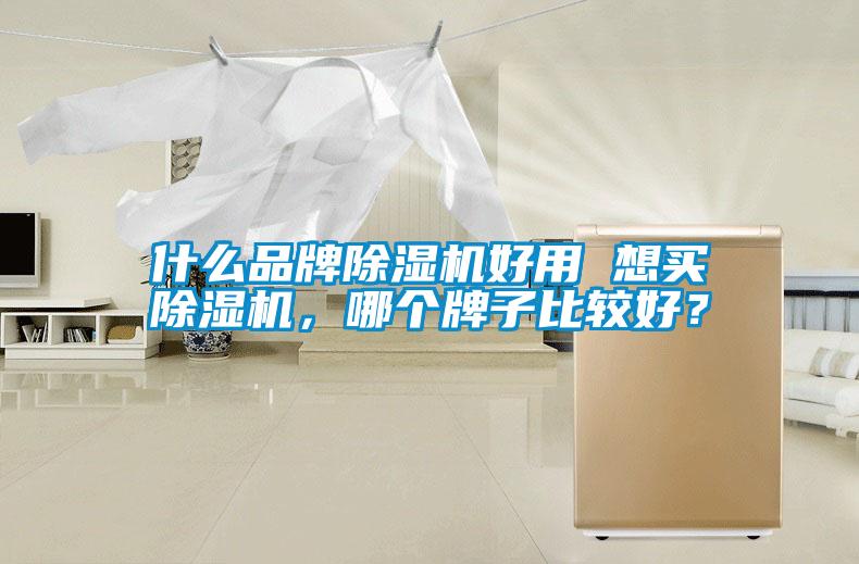 什么品牌除濕機(jī)好用 想買(mǎi)除濕機(jī)，哪個(gè)牌子比較好？