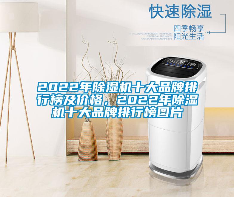 2022年除濕機十大品牌排行榜及價格，2022年除濕機十大品牌排行榜圖片