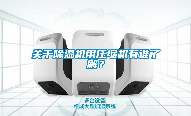 關(guān)于除濕機用壓縮機有誰了解？