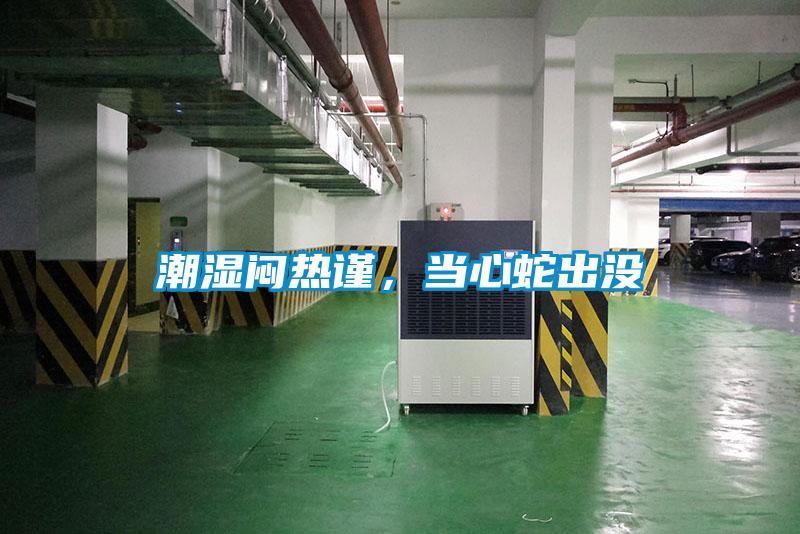 潮濕悶熱謹(jǐn)，當(dāng)心蛇出沒(méi)