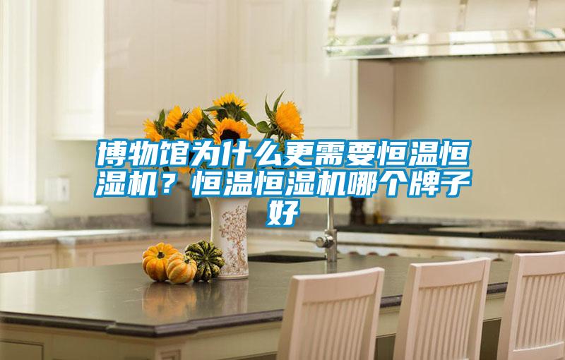 博物館為什么更需要恒溫恒濕機(jī)？恒溫恒濕機(jī)哪個(gè)牌子好