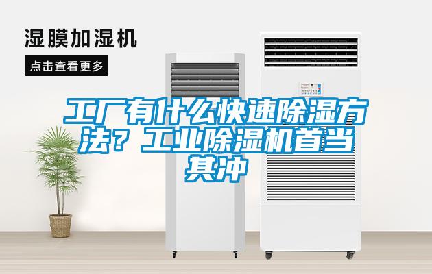 工廠有什么快速除濕方法？工業(yè)除濕機(jī)首當(dāng)其沖