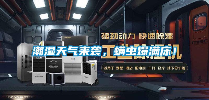 潮濕天氣來襲，螨蟲爆滿床！