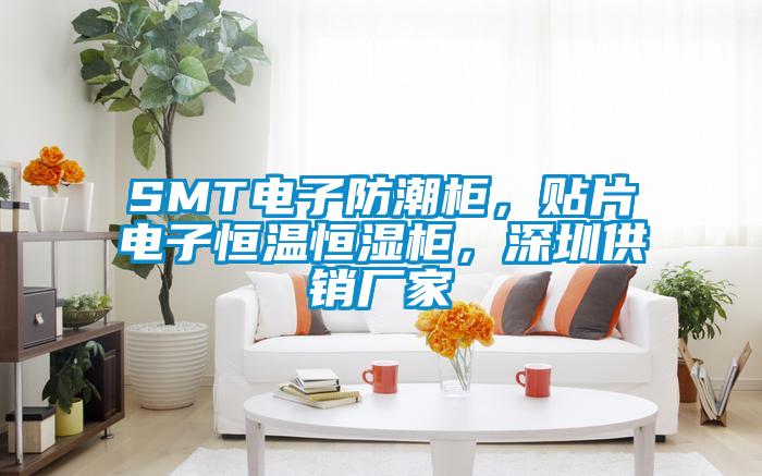 SMT電子防潮柜，貼片電子恒溫恒濕柜，深圳供銷(xiāo)廠(chǎng)家