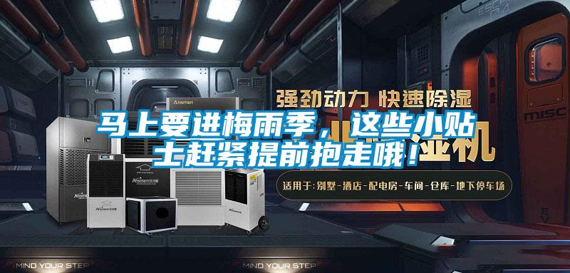 馬上要進(jìn)梅雨季，這些小貼士趕緊提前抱走哦！