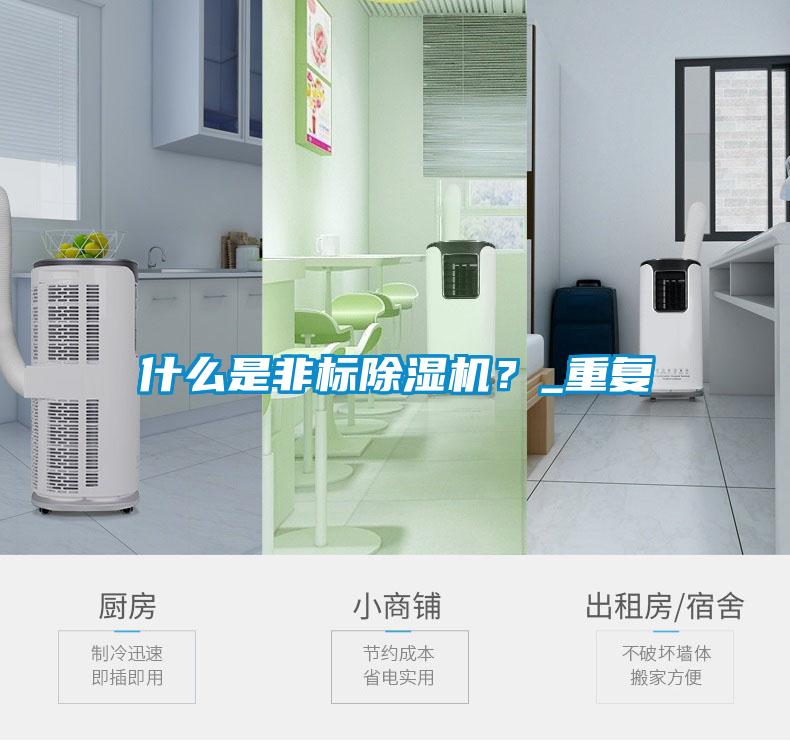 什么是非標(biāo)除濕機(jī)？_重復(fù)