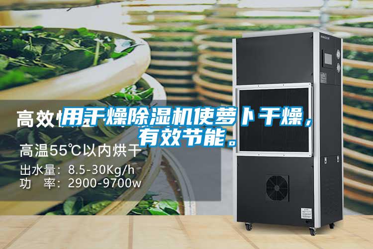 用干燥除濕機(jī)使蘿卜干燥，有效節(jié)能。