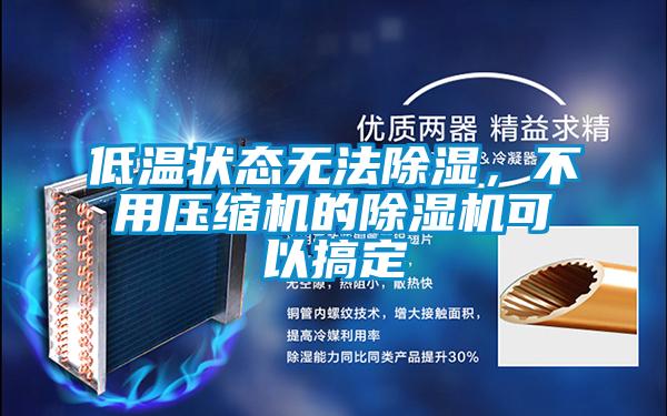 低溫狀態(tài)無(wú)法除濕，不用壓縮機(jī)的除濕機(jī)可以搞定
