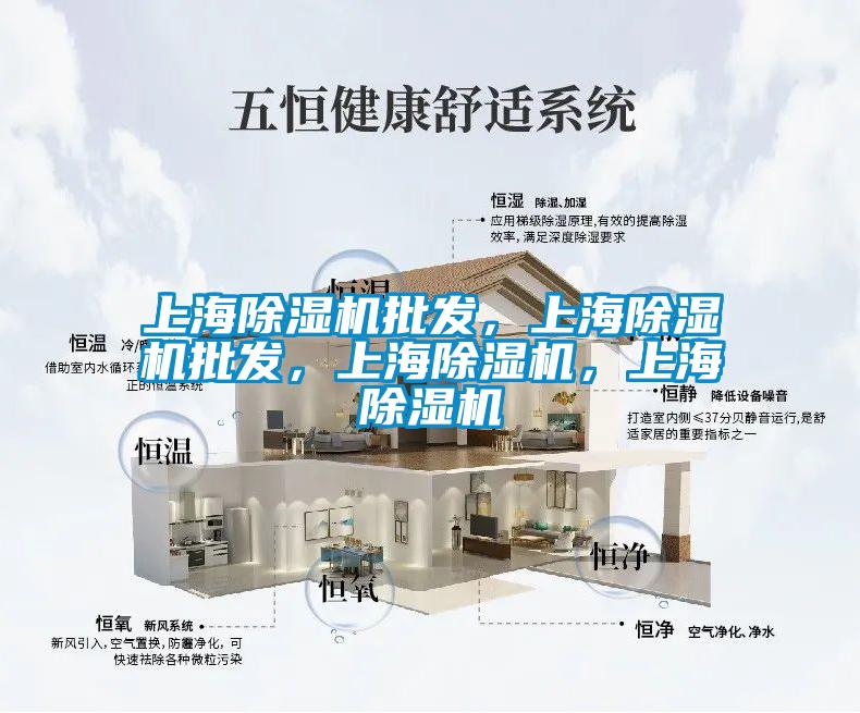 上海除濕機批發(fā)，上海除濕機批發(fā)，上海除濕機，上海除濕機