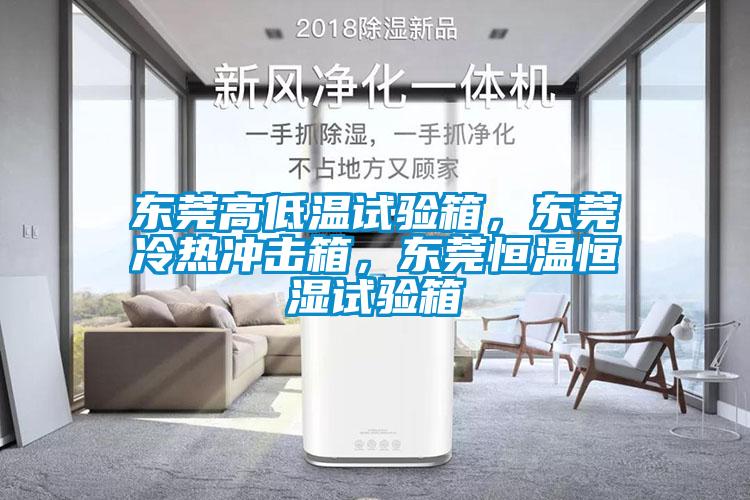東莞高低溫試驗(yàn)箱，東莞冷熱沖擊箱，東莞恒溫恒濕試驗(yàn)箱