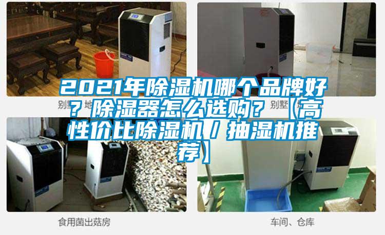 2021年除濕機(jī)哪個品牌好？除濕器怎么選購？【高性價比除濕機(jī)／抽濕機(jī)推薦】