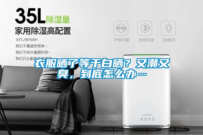 衣服曬了等于白曬？又潮又臭，到底怎么辦…
