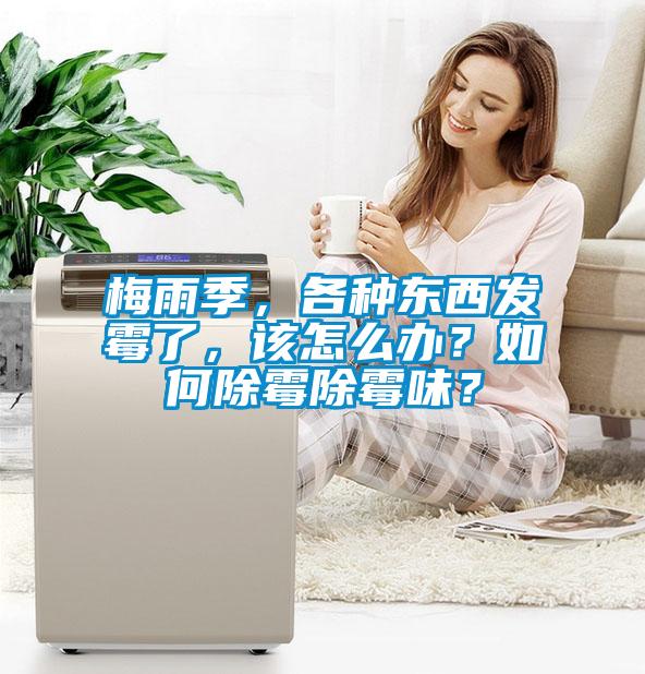 梅雨季，各種東西發(fā)霉了，該怎么辦？如何除霉除霉味？