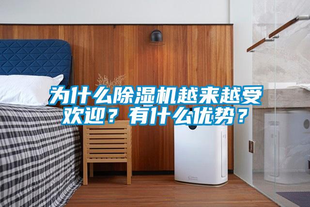 為什么除濕機(jī)越來越受歡迎？有什么優(yōu)勢？