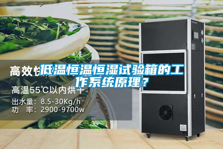 低溫恒溫恒濕試驗(yàn)箱的工作系統(tǒng)原理？