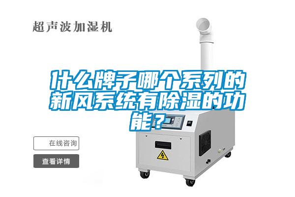 什么牌子哪個系列的新風(fēng)系統(tǒng)有除濕的功能？