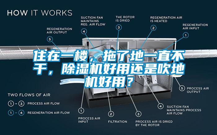 住在一樓，拖了地一直不干，除濕機好用還是吹地機好用？
