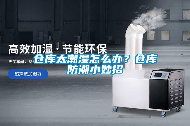 倉庫太潮濕怎么辦？倉庫防潮小妙招